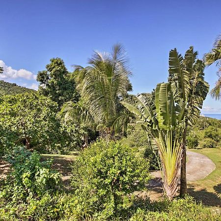 St Croix Home With Caribbean Views - 1 Mi To Beach La Vallee Luaran gambar