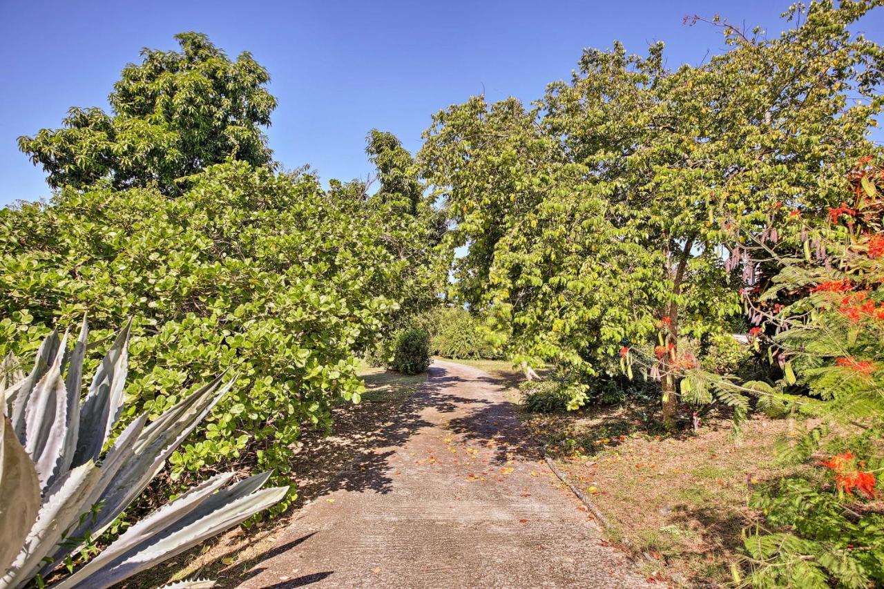 St Croix Home With Caribbean Views - 1 Mi To Beach La Vallee Luaran gambar