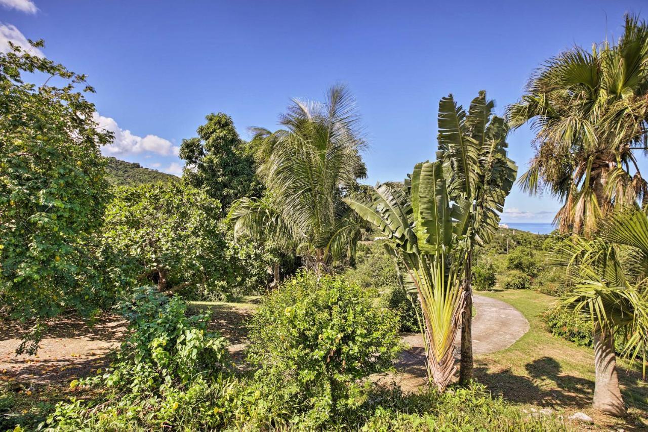 St Croix Home With Caribbean Views - 1 Mi To Beach La Vallee Luaran gambar